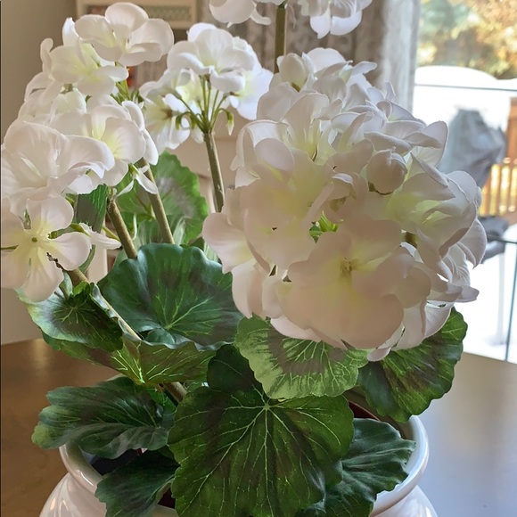 Profile Picture of Pam Piunti (@pampiuntidesign) on Poshmark