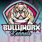 Profile Picture of ROBIN & MARIA SUAREZ↗️ (@bullyworx_kennels) on Instagram