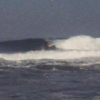 Profile Picture of David Dudney (@david-dudney-4) on Quora