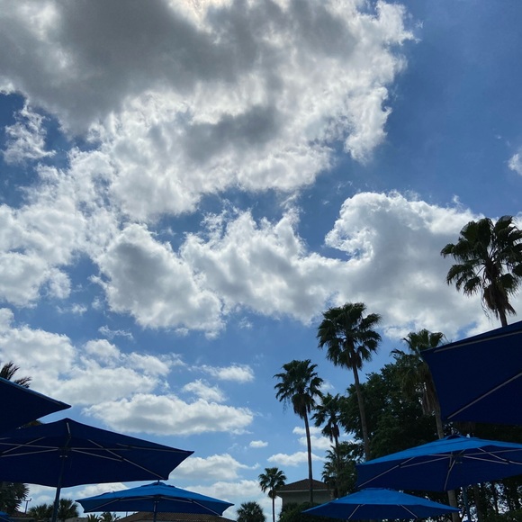 Profile Picture of Amanda Brockus (@amandabrockus) on Poshmark