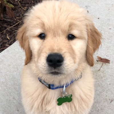 Profile Picture of Ken Zuber (@KenZuber6) on Twitter