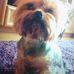 Profile Picture of Adam Bury (@adam.bury.127) on Facebook