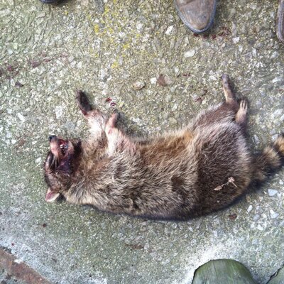 Profile Picture of Preston Barber (@preston4cburg) on Twitter