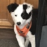 Profile Picture of Johnny Covey (@@johnnycovey) on Tiktok