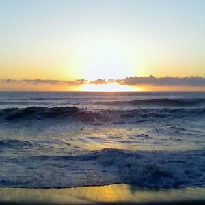 Profile Picture of Lisa Scheihing (@farmergurl02) on Myspace