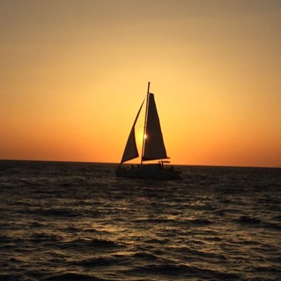 Profile Picture of Steven G. AYA Fund (@stevegfund) on Twitter