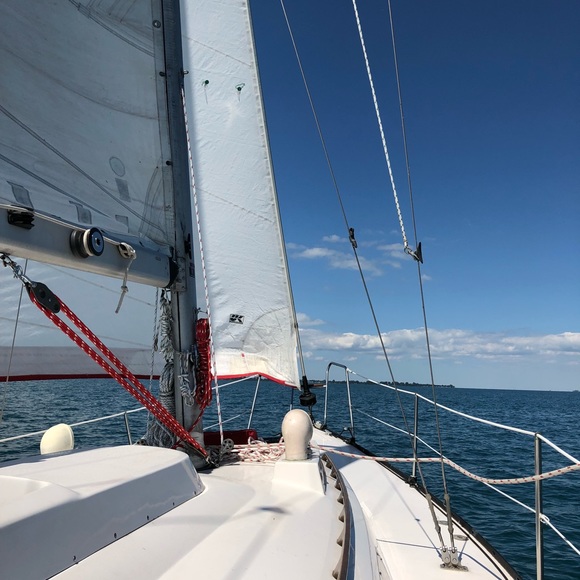 Profile Picture of Susan Blaesser (@blaess01) on Poshmark