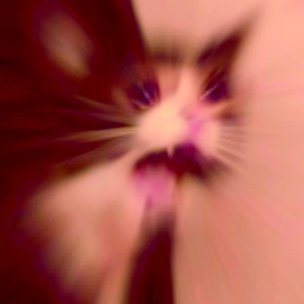 Profile Picture of Aawon (@FillmoreAaron) on Twitter