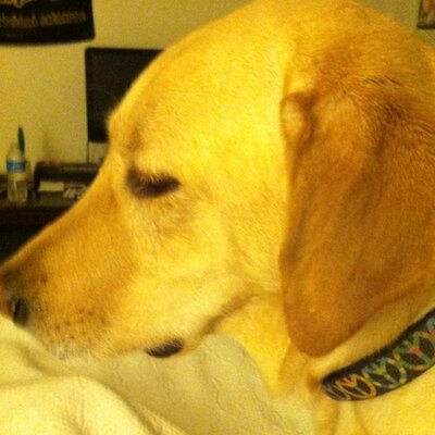 Jonathan Gurley - Twitter Profile Picture of Jonathan Gurley (@jonnyG1023) on Twitter