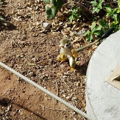 Profile Picture of Jeff Mowry (@jeback98665242) on Twitter