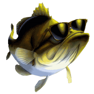 Profile Picture of Steve Bertin (@bertron77) on Twitter