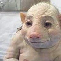 Profile Picture of Tyrone Guy (@tyrone-guy-1) on Quora