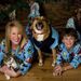 Profile Picture of Gina Martin Browne (@ginamartin40) on Pinterest