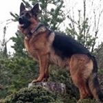 Profile Picture of Robert Diggles (@wiscmiler) on Instagram