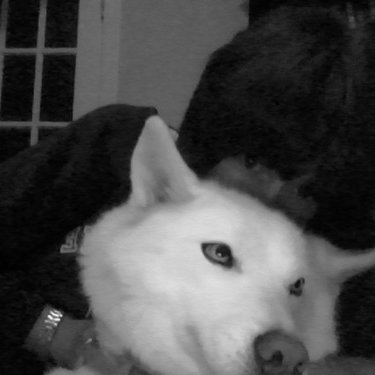 Susan MacIsaac - Twitter Profile Picture of Susan MacIsaac (@mackleinusa) on Twitter