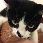 Mary Barmer - Facebook Profile Picture of Mary Barmer (@Mary-Barmer) on Facebook