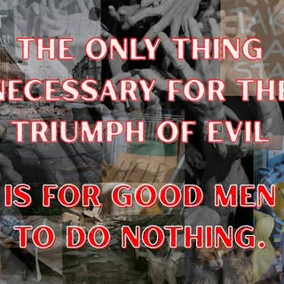 Profile Picture of Amber VanDyke (@vandykeamber) on Instagram