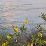 Profile Picture of Daniel (@tilted_tripod_photography_) on Instagram