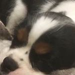 Profile Picture of Joyce Grimaldi Fenty (@fentyjoyce) on Instagram
