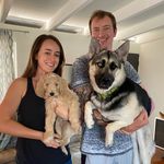 Profile Picture of Tom Hoke (@thomashoke) on Instagram