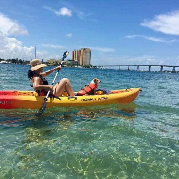 Profile Picture of Heather Beargie (@heatherbeargie) on Poshmark