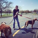 Profile Picture of Kevin Commins (@dogpoet67) on Instagram