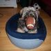 Profile Picture of Arnold Archie Arsenault (@arnold.a.arsenault) on Facebook