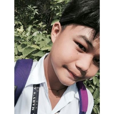 Profile Picture of Leonard Ching (@leonard_ching15) on Twitter