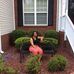 Profile Picture of Shirley Samuel Pearson (@shirley.pearson.315) on Facebook