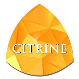 Citrine Technologies - Twitter Profile Picture of Citrine Technologies (@Citrinetech) on Twitter