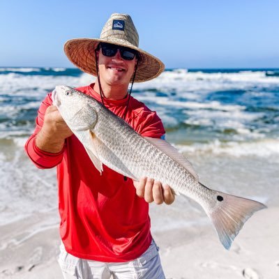 Profile Picture of Nick Free (@Nickfree1) on Twitter
