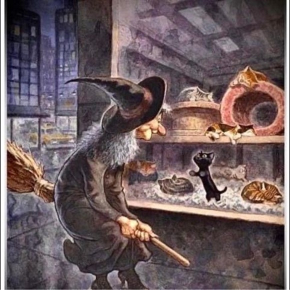 Profile Picture of Kate Pomeranz vaughan (@kateandjimmy) on Poshmark