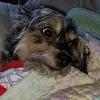 Profile Picture of Stacey Zielinski927 (@staceyzielinski1973) on Tiktok