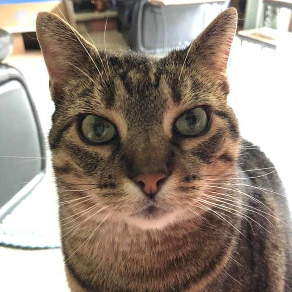 Profile Picture of Jessica Thornsbury (@j_thornsbury) on Poshmark