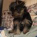 Profile Picture of Ladonna Stewart (@ladonna.stewart.735) on Facebook