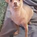 Profile Picture of Nancy Schaeffer (@nancy.schaeffer.3551) on Facebook