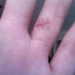 Profile Picture of Yolanda Chung (@Judy38185) on Twitter