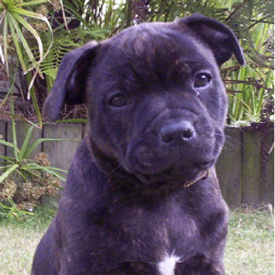 Richard Mahony - Twitter Profile Picture of Richard Mahony (@RickyMahony) on Twitter