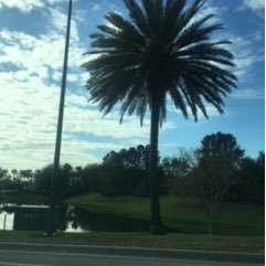 Profile Picture of Amanda Macintyre (@amandam5529) on Twitter