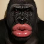 Profile Picture of Kim Van (@Kim-Van) on Facebook