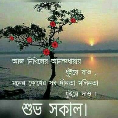 Profile Picture of Abhijit Dasgupta (@Abhijit25648717) on Twitter