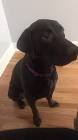 Profile Picture of   TikTok de Brooke Anne... (@bps_520) on Tiktok