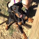 Profile Picture of Michael Rebelo (@m1ch43l_r3b3l0) on Instagram