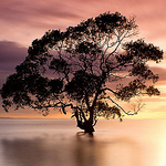 Profile Picture of Ian Miller (@ianmiller173) on Flickr