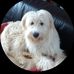 Profile Picture of Steven Fielding (@steven.fielding.714) on Facebook