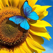 Profile Picture of Erica Nguyen (@ericanguyen.35810) on Youtube