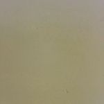 Profile Picture of Alex Daniel Bencosme Caramay (@alexdanielbencosmecaramay) on Instagram