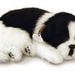 Profile Picture of Jeffrey Meng (@gullible_child) on Instagram