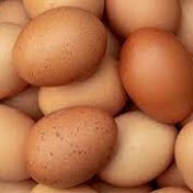 Profile Picture of Matthew Stubbs (@matthewstubbs2642) on Youtube