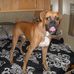 Profile Picture of Harley Pyles (@Harley-Pyles) on Facebook